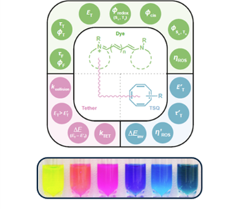 Lumidyne fluorophores